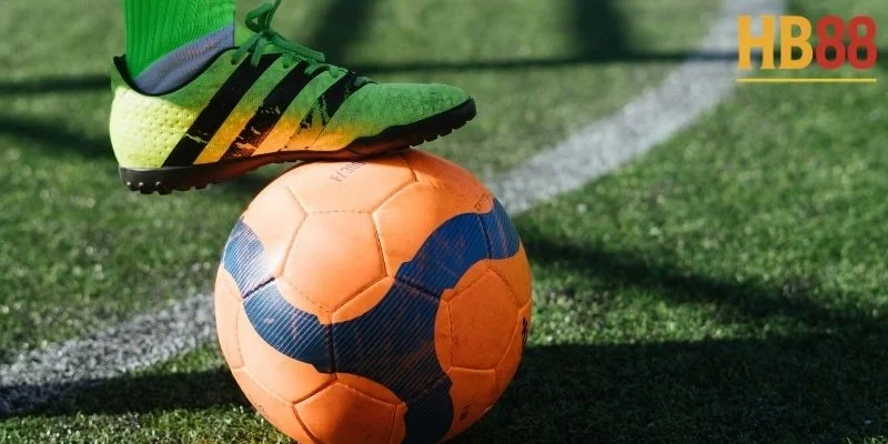 K-Sports: Hướng dẫn cách đặt cược thể thao trực tuyến 2 K-Sports