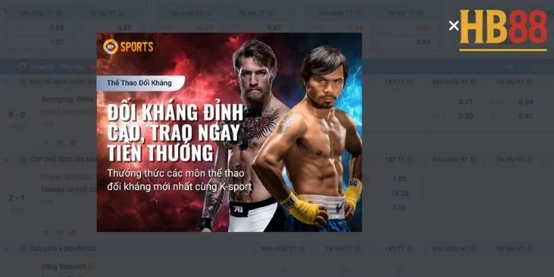 Thể thao ksport: Tìm hiểu kèo và cách đọc tỷ lệ chuẩn 4 Thể thao ksport